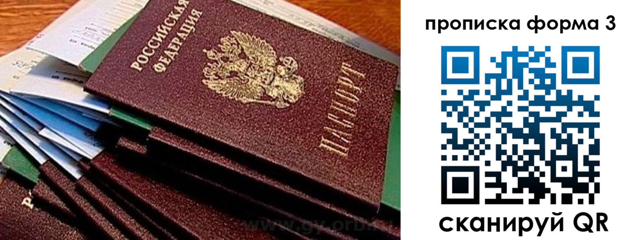 прописка иностранных граждан в Коле